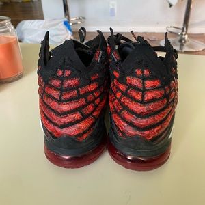 Lebron 17 (used)